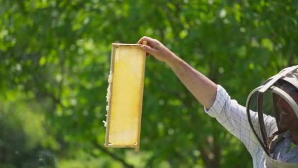 蜂农拿着半满的蜂蜜梳子在灯光下的镜框里 男人检查蜂蜜收获时 笑得很满意 自然背景 — 图库视频影像