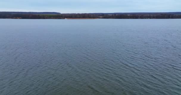 Біла Сіра Чайка Літає Над Поверхнею Води Шукаючи Їжу Знімок — стокове відео