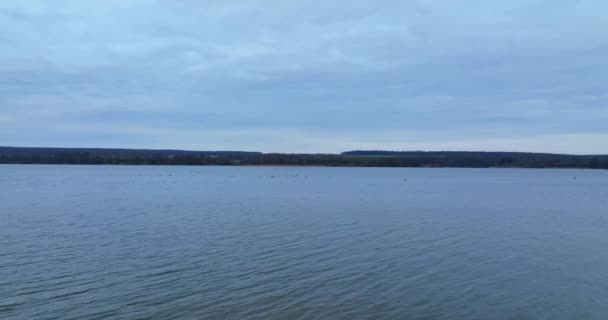 湖畔漂浮的小鸭子的黑色轮廓 灰色河面上成群的鸟儿 灰天背景 — 图库视频影像