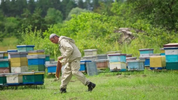 养蜂人赤手空拳地拿着蜂蜜梳子 抖掉蜜蜂 在蜂窝里 人在改变框架 蜜蜂农场背景 — 图库视频影像