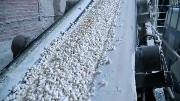 Pressed Pieces White Clay Together Powder Moving Conveyor Belt Close — Stock Video