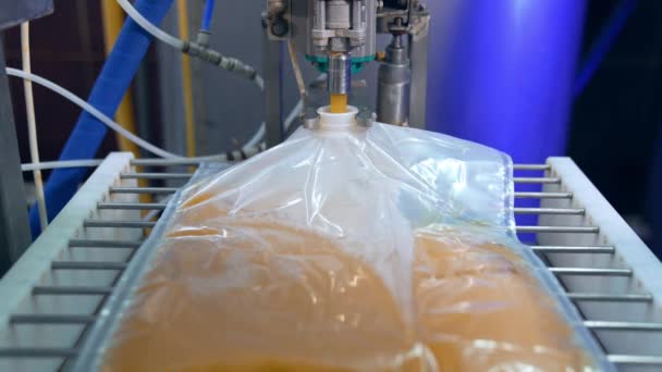 新鲜榨的苹果汁被倒入一个大塑料袋里 工人们的手把袋子摊开 以便更好地灌满果汁 靠近点 — 图库视频影像
