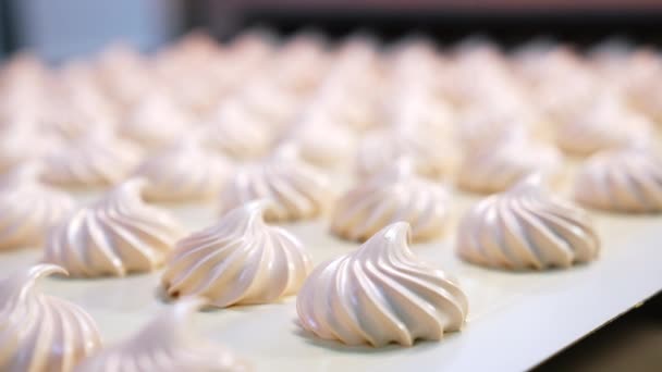 Čerstvé Krémové Marshmallows Pohybující Podél Dopravníkového Pásu Cukrárně Zavřít Rozmazané — Stock video