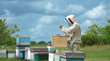 Apiarist arılardan kurtulmak için kovan kapağına yumruğuyla vurur. Arı ve erkeğin üzerinde bir sürü arı uçuşuyor. Bulutlu gökyüzü arka planı.