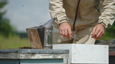 Sigara aleti arı kovanında kullanıma hazır. Apiarist kovandan çerçeve çıkarıp incelemek için metal enstrüman kullanır. Bulanık arkaplan.