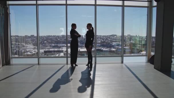 Tágas Napfényes Iroda Két Áll Ablak Mellett Hölgyek Panorámás Ablakoknál — Stock videók