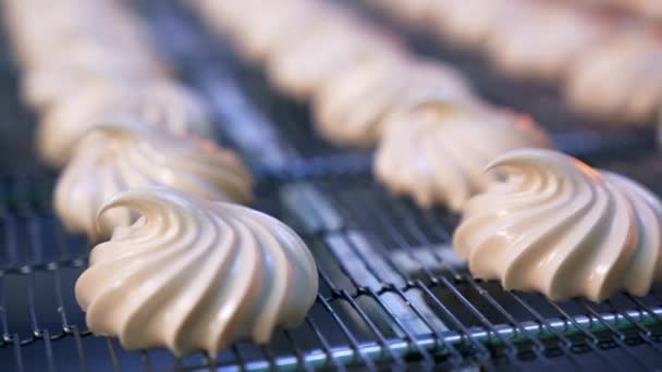 Creamy Marshmallows Move Conveyor Belt Savory Whipped Cream Desserts Manufactured — Stock Video