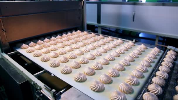 Ligne Convoyage Automatisée Avec Beaux Bonbons Blancs Bonbons Guimauve Mis — Video