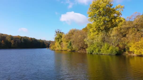 ウォーターフロントで成長する黄色と緑の木 晴れた秋の川に映るカラフルな森と青空 — ストック動画