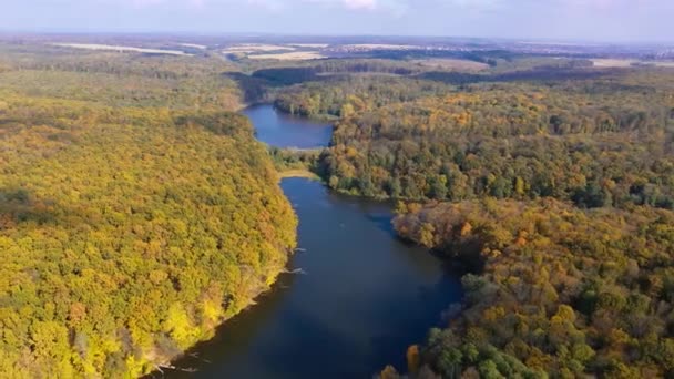 Glatte Oberfläche Des Schmalen Flusses Der Durch Bunte Wälder Fließt — Stockvideo