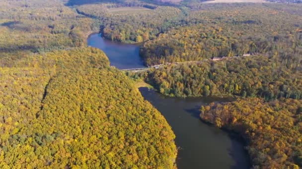 Maravilhoso Cenário Bosques Temporada Outono Vista Aérea Florestas Dia Brilhante — Vídeo de Stock