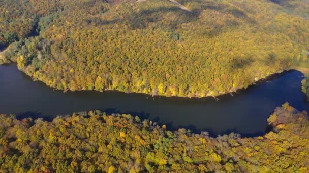 Чудовий Вид Річку Тече Між Товстим Лісовим Масивом Яскраві Різноманітні — стокове відео