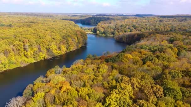 Листья Меняют Цвет Густых Лесах Спокойная Река Разделяющая Леса Аэросъемка — стоковое видео