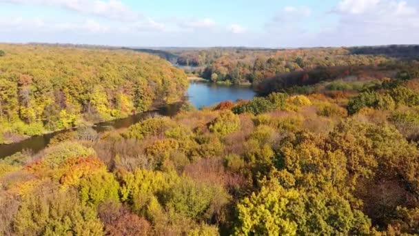 Vue Imprenable Sur Les Bois Par Temps Ensoleillé Saison Automne — Video