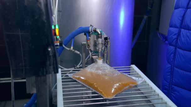 Plastik Torbaya Taze Yapılmış Elma Suyu Döküldü Organik Ürünlerin Paketlenmesi — Stok video