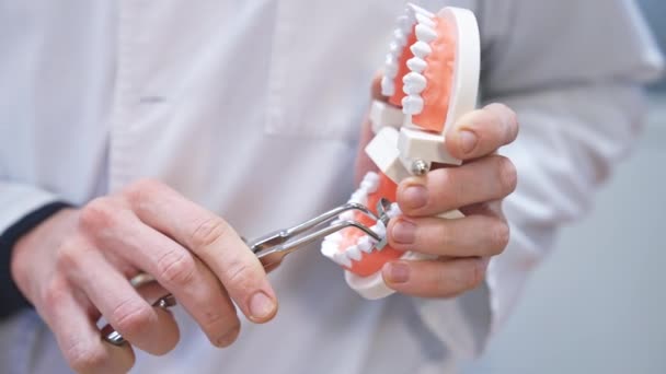 一套牙齿在男性手中的模型 丙烯酸全口义齿张开宽 手将牙科工具应用到其中一个牙齿上 靠近点 — 图库视频影像