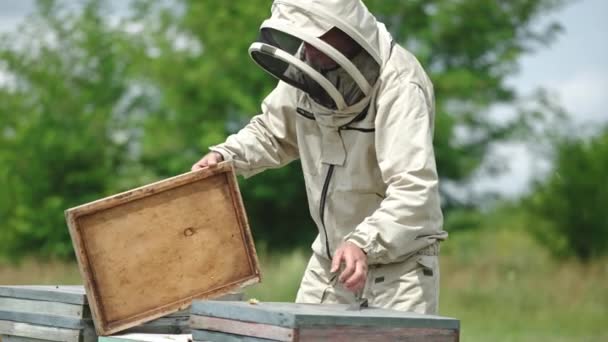 Imker Schutzuniform Zieht Den Deckel Des Bienenstocks Der Mensch Benutzt — Stockvideo