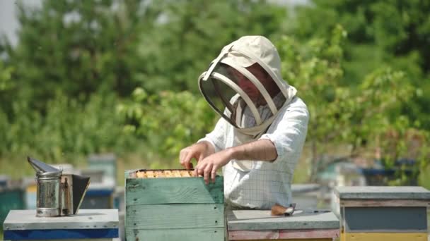 Apiary農家はハイブからフレームを取り出し 慎重にそれを見ています ハーフシールされたハチミツ細胞を手に入れたダークフレーム 晴れた日の自然の背景 — ストック動画