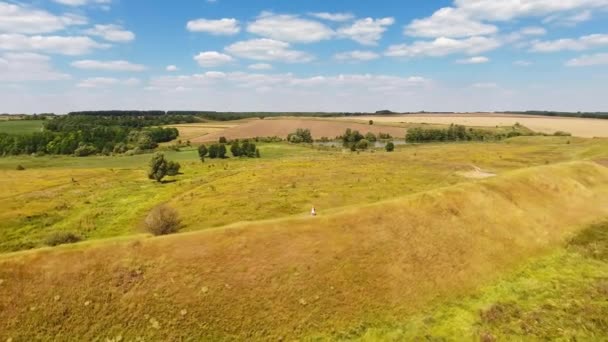 Paisajes Soleados Campos Naturales Plantaciones Agrícolas Larga Colina Prado Con — Vídeos de Stock