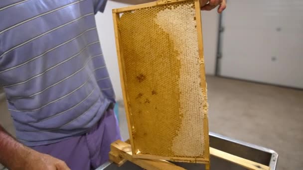 ハニカムフレームに蜂蜜が入っています ワックス細胞は蜂蜜と半分シールで満たされています 養蜂家は密封された蜂蜜細胞を開けるために器械を取っています — ストック動画