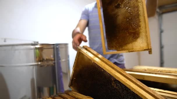 Frames Fully Filled Honey Prepared Extracting Male Apiarist Takes Frames — Stock Video