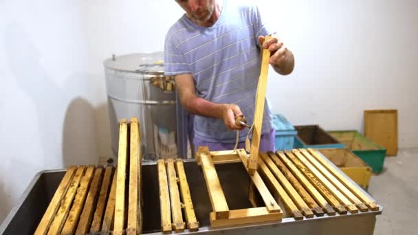 Beekeeper Holding Frame Peels Covers Sealed Cells Preparation Frames Extracting — Stock Video