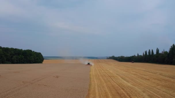 Macchine Agricole Che Lavorano Nel Grande Campo Ampi Terreni Agricoli — Video Stock