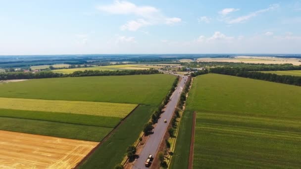 Estrada Directa Atravessar Plantações Verdes Imagens Drones Plantações Agrícolas Florestas — Vídeo de Stock