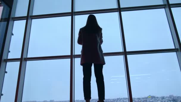 Ganzkörpersilhouette Einer Frau Die Vor Einem Panoramafenster Steht Porträt Einer — Stockvideo