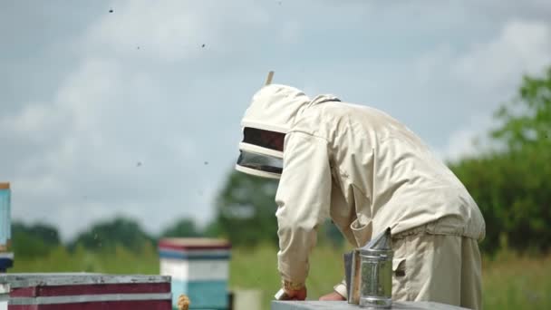Apiarist Masculino Dobrado Sobre Colmeias Sua Fazenda Abelhas Apicultor Usa — Vídeo de Stock