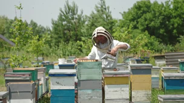 Мужчина Защитной Шляпе Осматривает Пчелиный Улей Своей Ферме Человек Использует — стоковое видео