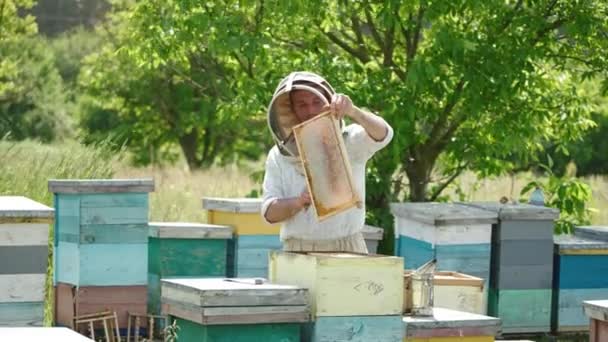Arıcı Bir Fırçayla Arıların Çerçevesini Temizler Tam Çerçeve Gelecek Bal — Stok video