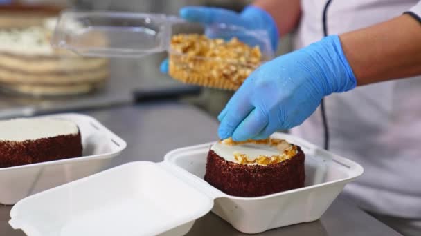 Chocolate Cake Individual Box Being Decorated Gloved Hand Puts Peanuts — Stock Video