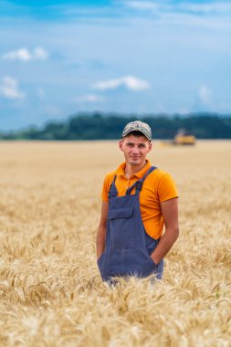 Çiftçi buğday tarlasında dikilip ekinlere bakıyor.