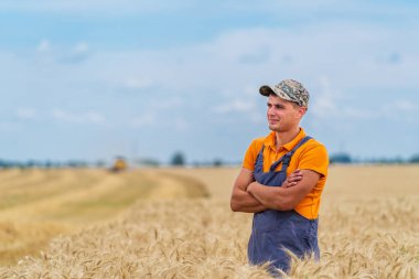 Çiftçi buğday tarlasında dikilip ekinlere bakıyor.