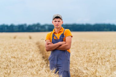 Çiftçi buğday tarlasında kameraya bakıyor.