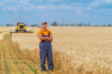 Çiftçi buğday tarlasında duruyor arkada hasatçıyı birleştiriyor.
