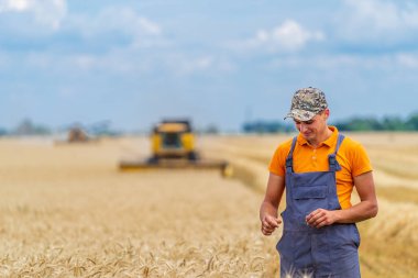 Genç çiftçi buğday tarlasında duruyor ve gülümsüyor.