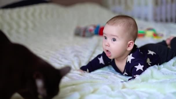 小さな愛らしい赤ん坊の男の子は クロールしようとベッドに積極的に移動します 黒猫がベッドを歩いている ブラーレッド バックドロップ — ストック動画