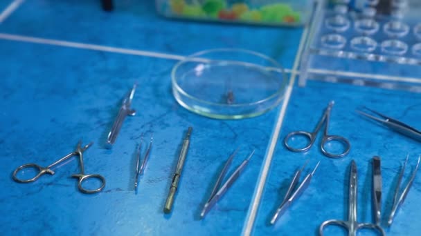 Tabela Medycznymi Narzędziami Medalowymi Przygotowanymi Interwencji Chirurgicznej Nożyczki Kleszcze Różnej — Wideo stockowe