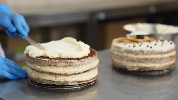 컨페셔너는 주걱으로 케이크 상단에 두꺼운 채찍질 크림을 퍼뜨립니다 공장에서 달콤한 — 비디오