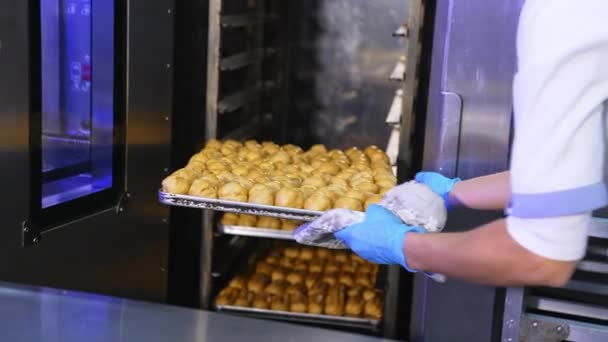 ブラウンは オーブンから引き出される将来のデザートのボールを焼きました 収益で覆われた大きいベーキング シート コンセプト — ストック動画