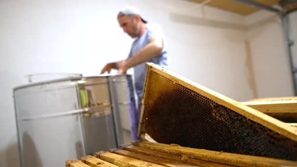 Μελισσοκόμος Παίρνει Κουφώματα Μελιού Από Ειδικό Κουτί Και Βάζει Μεταλλικές — Αρχείο Βίντεο