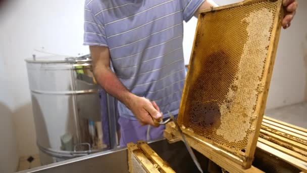 Μελισσοκόμος Ανοίγει Τις Κορυφές Από Κυψελίδες Άνθρωπος Χρησιμοποιεί Ειδικό Εργαλείο — Αρχείο Βίντεο
