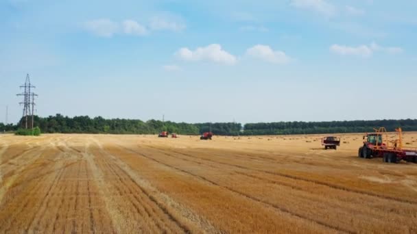 Grote Gemaaide Tarweplantage Met Landbouwtechnieken Trekkers Plukken Hooibalen Landbouwgrond Groene — Stockvideo