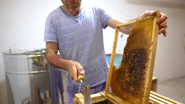 Arı Yetiştiricisi Bal Temizleme Için Çerçeve Hazırlıyor Apiarist Bal Peteğindeki — Stok video