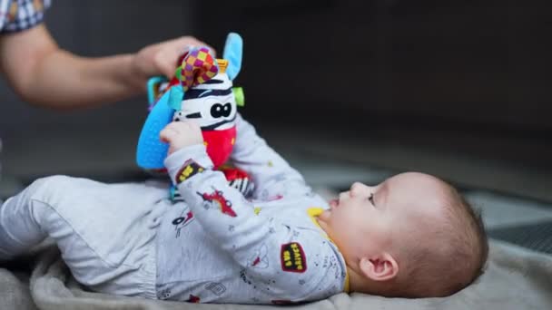 Pocos Meses Edad Bebé Está Tratando Atrapar Juguete Cebra Brillante — Vídeo de stock