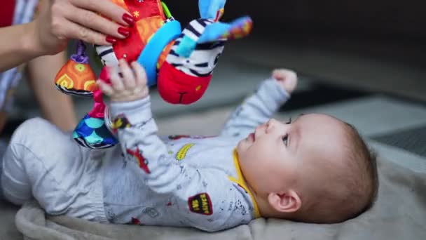 Bright Colorful Toy Zebra Given Toddler Lying Back Mommy Shaking — Stock Video