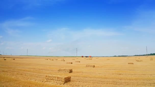 青い空とモウド小麦と干し草の黄色いフィールドを対比する フィールドに立っている農業機械に速やかに近づく — ストック動画