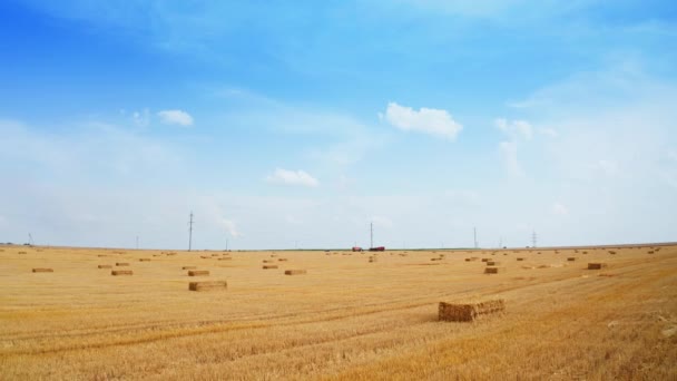 晴れた夏の日に小麦を切った黄色い農村プランテーション フィールドに横たわっているわら バックドロップの農業機械 — ストック動画